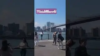 #minislittleworld #youtubeshorts #brooklynbridge
