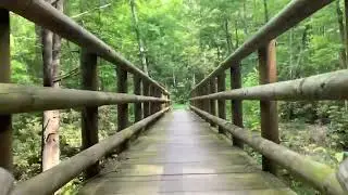 Appalachian Trail Section Hiking: Taylor’s Valley to Damascus