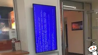 The Best Of r/SoftwareGore