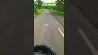 Tiger Attack on bike #tiger #bike #attack