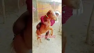 #trending natraj comedy
