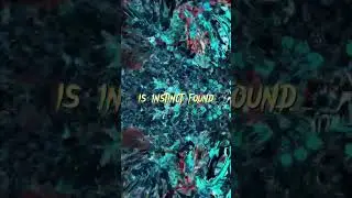New Metalcore Release (FFO Blind Man's Daughter)