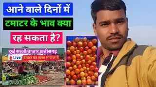 January 22, 2026 Tomato Price Update: New Market Trends & What to Expect in February