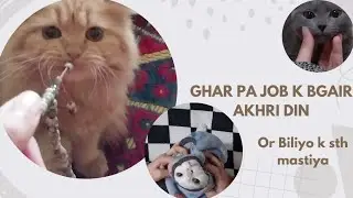 Kaam Bhi, Masti Bhi | Life with Cats | Ghar pa job k bgair Akhri din