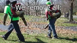Fall Yard Cleanup Service- Here's What We Do
