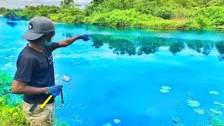 What Will My powerful Magnet Find in the River?  | Magnet fishing | Sri lanka