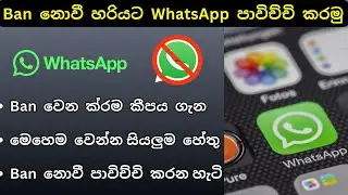 Whatsapp Banned My Number | WhatsApp Ban Types, All Reasons for ban Account වට්සැප් බෑන් වෙන්න හේතු