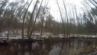 Small stream trout flyfishing. Upėtakių žvejyba