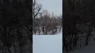 exploring nature in winter canada pt 20