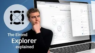 How to navigate the Elrond Explorer | Istari Vision Tutorial