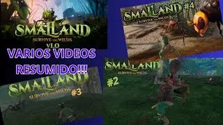 SMALLAND RESUMIDO 4 VIDEOS
