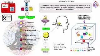 Meditaci&oacute;n PRINCIPIANTE SIN TELEKTONON Configuraci&oacute;n Diaria Synchry NS1.38.6.8 Kin 11 (Dic.20.2025)