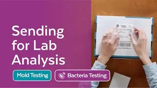 Sending to the Lab (Mold Check Up with Bacteria)