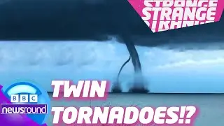 Double Waterspouts & Alligator Pool Party Gone Wrong?🌪️ 🐊 🥳 | Newsround