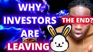 Little Rabbit Token - Why Little Rabbit Investors Are Selling (Rabbit Investors Reaction)