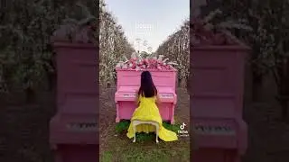 🌸S & R Orchard perth blossom festival 2021 🌸