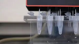 How to: Use a sample concentrator to dry solvent samples