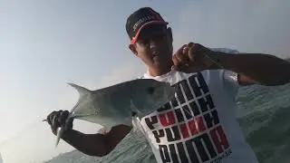 How to catch trevally using live mullet #tmc #fishing #livebait_fishing #chennai #handline fishing .