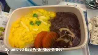 Trip Report #18: All Nippon Airways ANA Flight NH815 Tokyo Narita to Kuala Lumpur (Premium Economy)