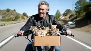 Cutest Kittens Ever 😻 | Funny & Adorable Kitten Compilation 2025