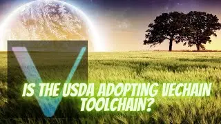 VeChain (VET) News!! [] Is VeChain ToolChain Coming to United States? Vechain to $1+in 2020!!!