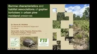 Burrow characteristics & habitat association of gopher tortoises by Steven Whitfield (Zoo Miami)