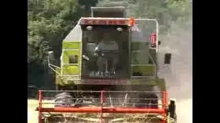Gerstendrusch und gleich Gerstenschrot