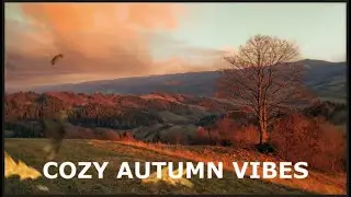Warm & Cozy Autumn Piano Music | Peaceful 60 BPM Track
