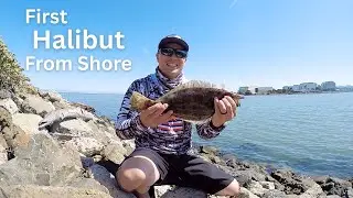 30 min. Window | Speed Fishing | Halibut/Striper