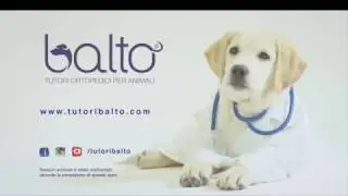 Balto  tutori per animali