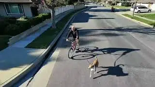 DJI NEO 2