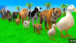 #Long slide with Game Animals 🦍🦁🐄🐣🐤🐮🦆🦁#youtube#subscribe#varal#like#share👍