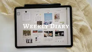 Weekly diary✨ | 電子手帳 | GoodNotes 5 | 아이패드다이어리 | digital planner | 免費模板 | 굿노트 5 | iPad diary