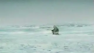 Pescatore mangiato da un orca