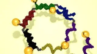 Self-assembling DNA scaffold for gold nanoparticles