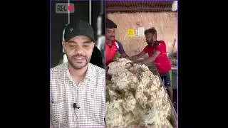 اكلات الشوارع الهندية - شغل فاخر من الاخر 🤣
