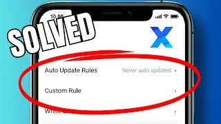 How to view rules file in XBrowser