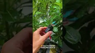 Pov: camera mini quay Vlog đường phố chơi thể thao GO 9 PRO #go9pro #shorts #short #dabong #pov