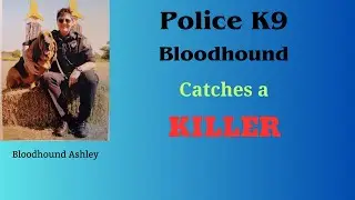 K9 Bloodhound Handler: The Challenges and Rewards