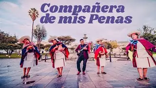 MARCO ANTONIO CHÁVARRY - COMPAÑERA DE MIS PENAS (Video Oficial 2026) 🎤 Primicia