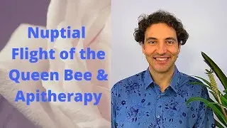 Happy-Culture Apitherapy - Nuptial Flight of the Queen Bee with a therapeutical point of view