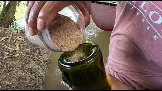Pesca de bagre y agarando sardinas con botella y atarallando en el rio resumado