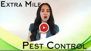 Extra Mile Pest Control Fort Lauderdale Broward County Florida