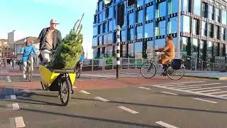 #TreeByBike Delft 2022