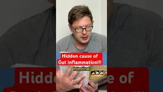 Root Cause of Gut Inflammation - IBS, IBD, Crohn&rsquo;s & Colitis