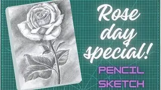 7th February: The Ultimate Guide to Rose Day and Valentines Week