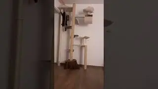 Selbstgebauter Katzenbaum