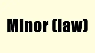 Minor (law)