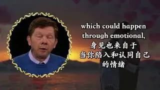 艾克哈特.托勒-如何决定谁会是我的伴侣 (中英字幕) Eckhart Tolle- how to decide who is to be my partner
