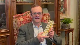 Spinal Stenosis Treatment | Dr. David Barnett | Dallas Neurosurgeon